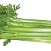 benefits of celery