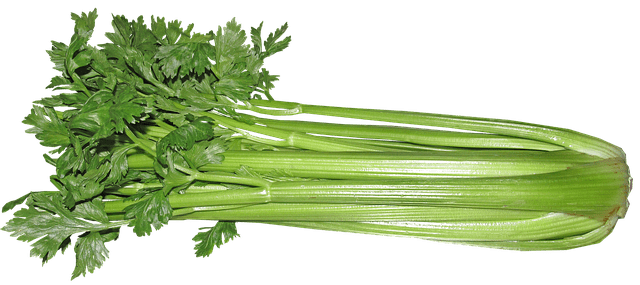 benefits of celery