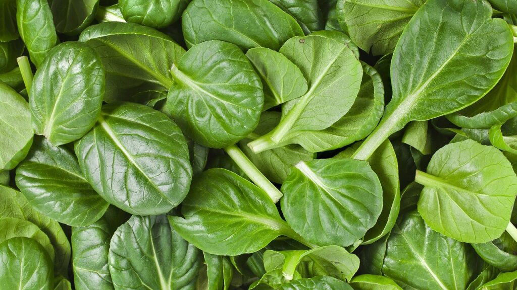 Fresh Spinach